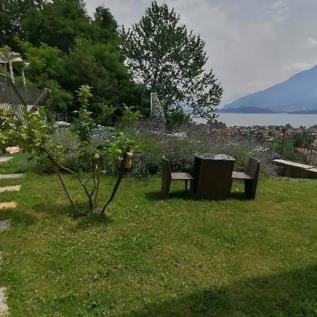 Ulivi On The